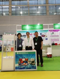 Выставка-шоу