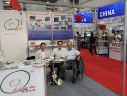 Выставка-шоу