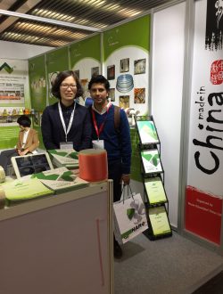 Выставка-шоу