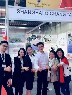 Выставка-шоу